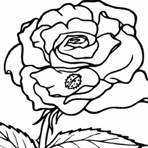 Meet your Posher, Jade